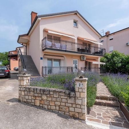 Apartment Masha Novigrad Istria Exteriér fotografie