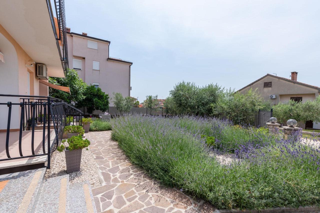 Apartment Masha Novigrad Istria Exteriér fotografie