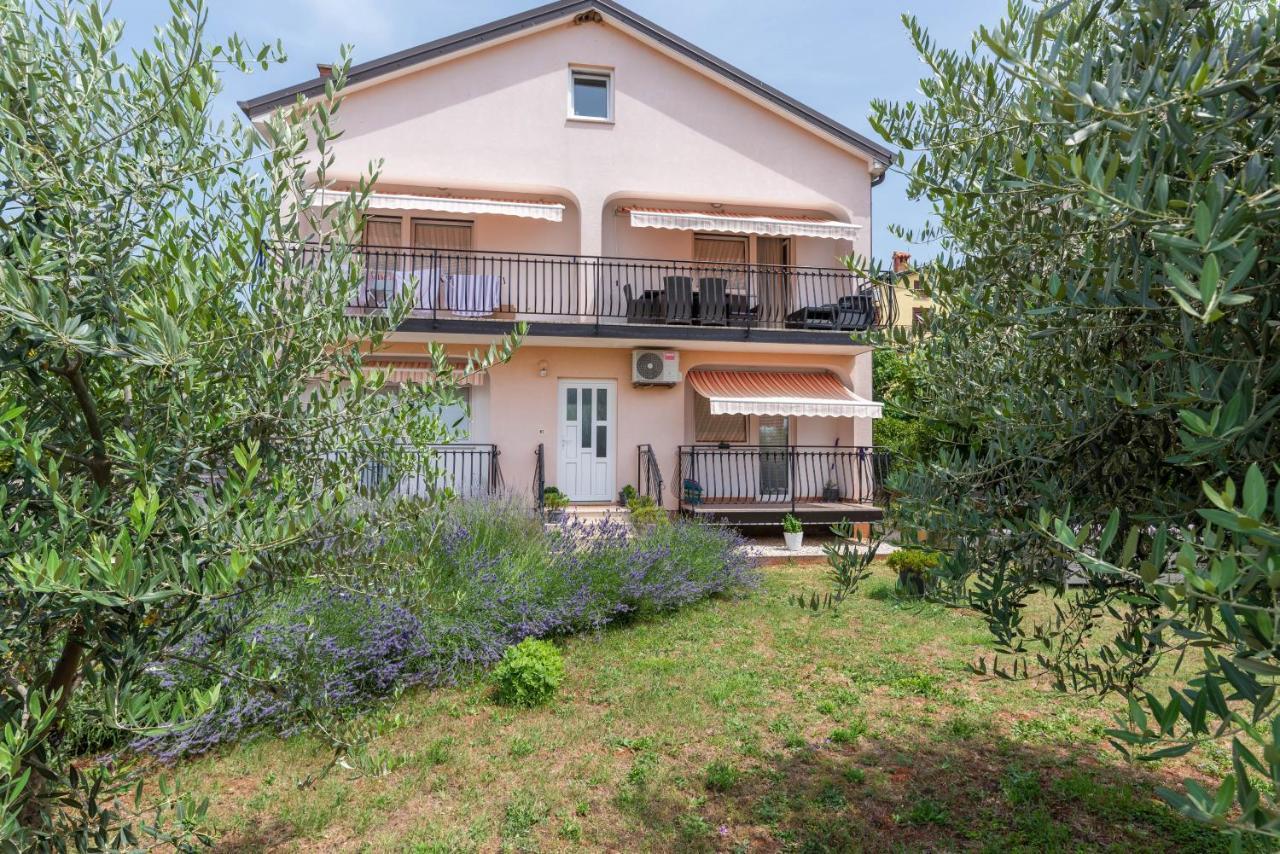 Apartment Masha Novigrad Istria Exteriér fotografie